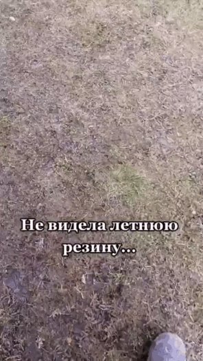 IMG 20230512 031026