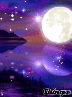file_56911770