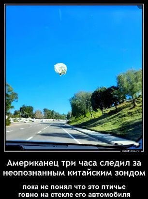 file_102048775