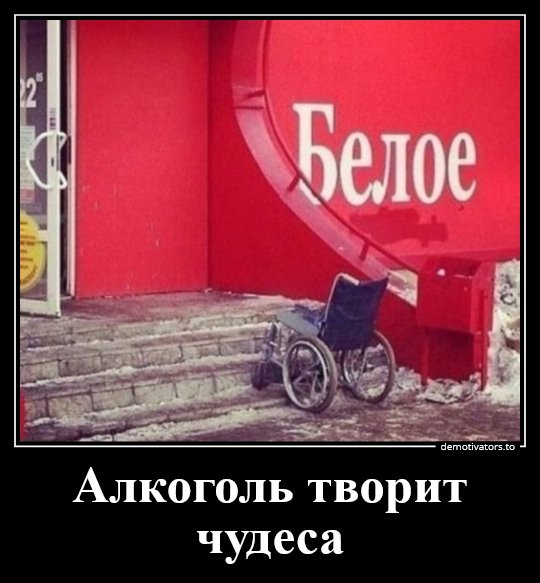 1IBGIV4SF