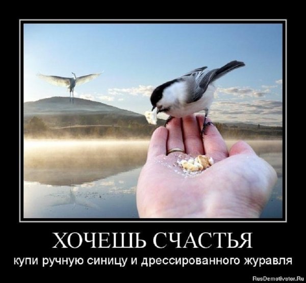 Хочешь счастья...