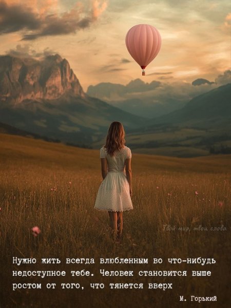 IMG 20250604 132339 361