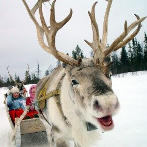 НА БАЙКАЛ!