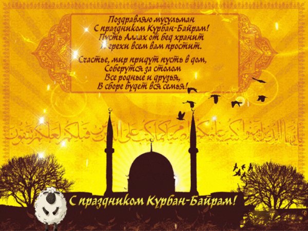 file_74564868