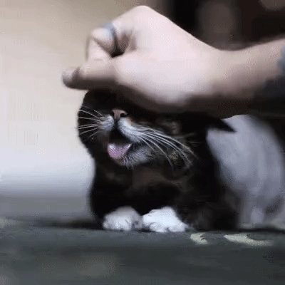 gif 1483560626