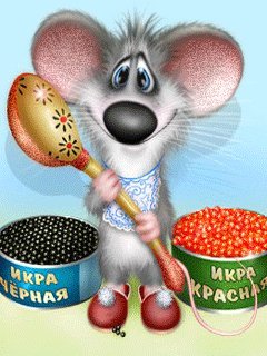 Коты Алексея Долотова-3