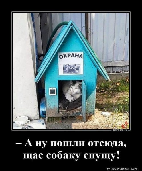 А ну пошли отсюда...