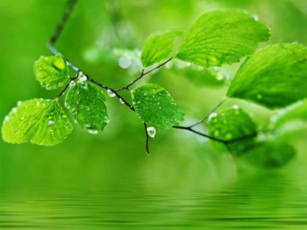 file_94843809