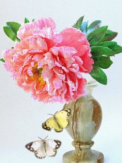 цветок