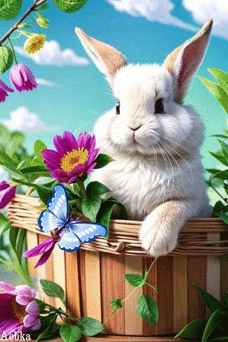 file_97410479