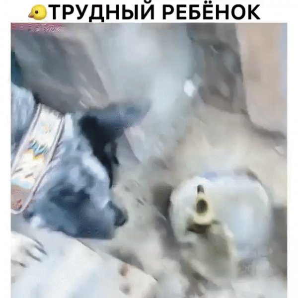 IMG 20221002 002703