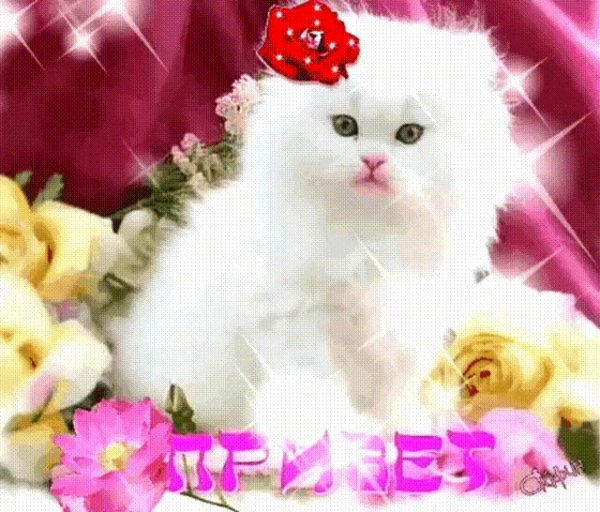 file_79810504