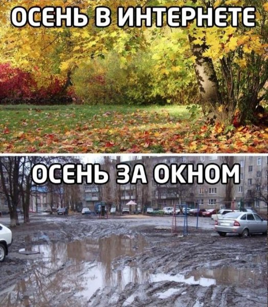file_103384943