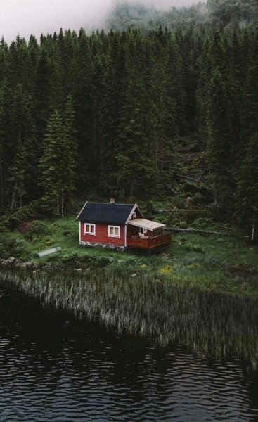 file_96689192