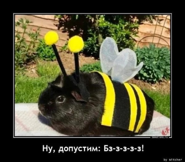 Бззззззз....