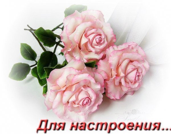 nQxSg4pQews