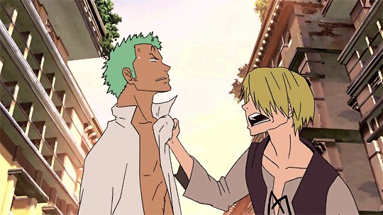 Zoro Roronoa, Sanji