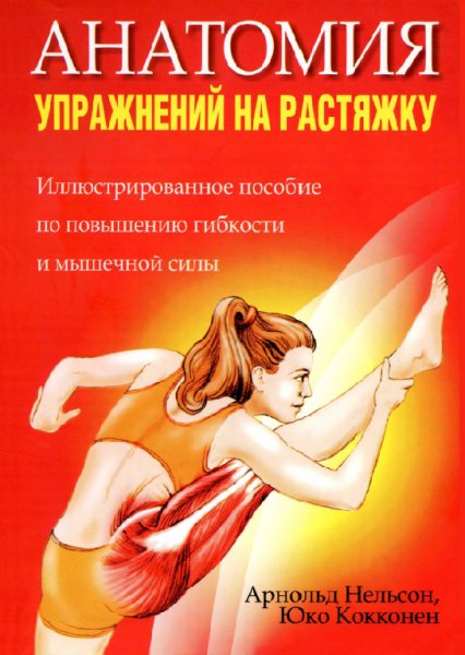 Анатомия упражнений на растяжку