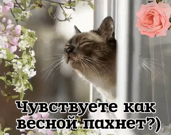 gif 1487543529