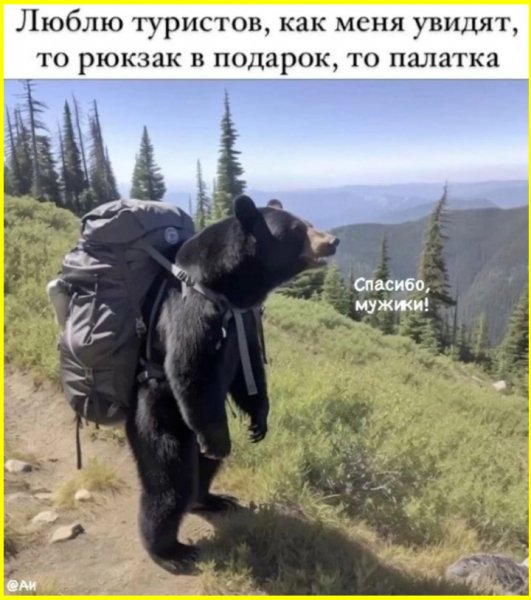 Image (38)