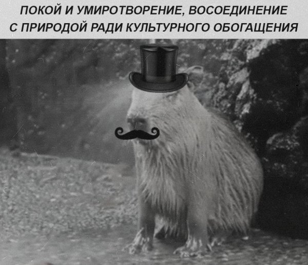 IMG 20260522 022618 859