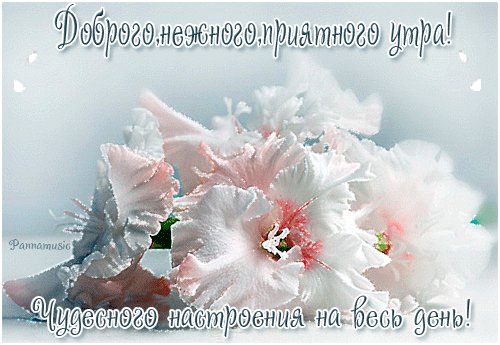 file_45736452