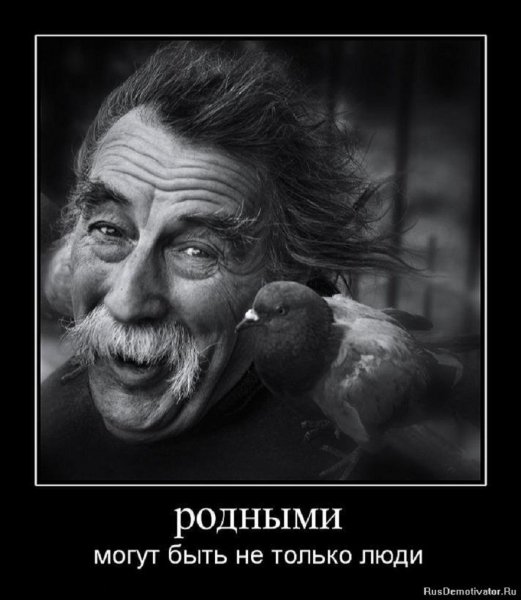 Родными могут быть не только люди