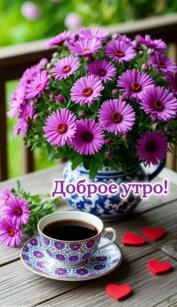 IMG 20260422 115744