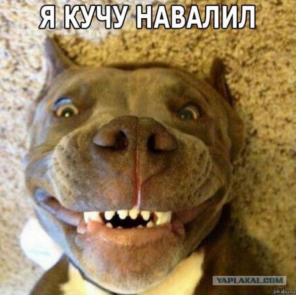 Довольный