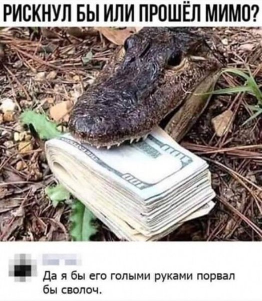 IMG 20191228 042554