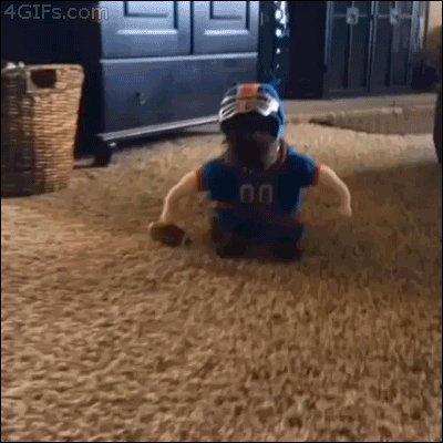 Костюм для собаки ))))