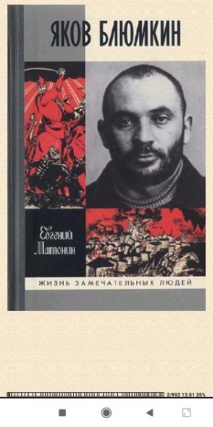 Е.Матонин. Яков Блюмкин. Oшибка резидента de65f2356003