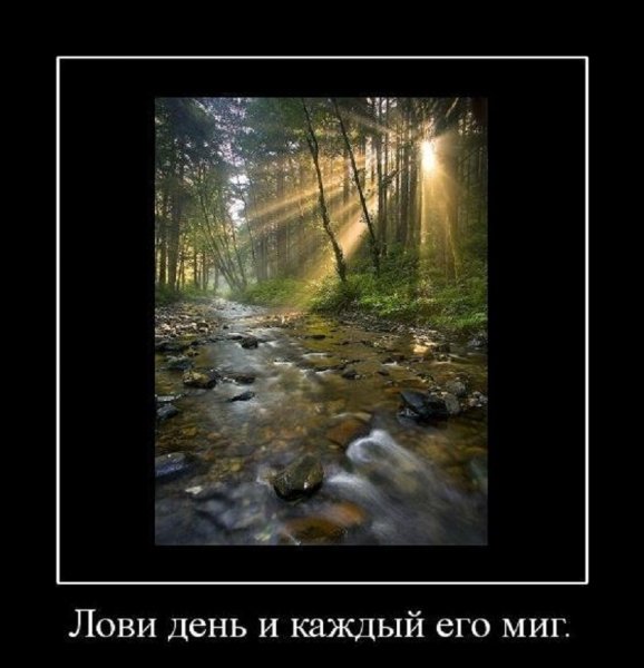 Лови каждый миг