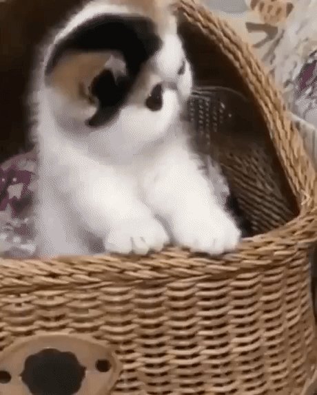 Я тебе нравлюсь? В глаза смотри!!!
