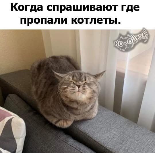 FB IMG 1750750909995