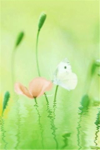 file_47216478