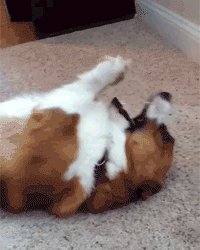 Так ты снимаешь