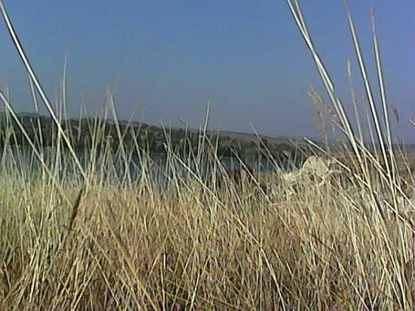 Осень