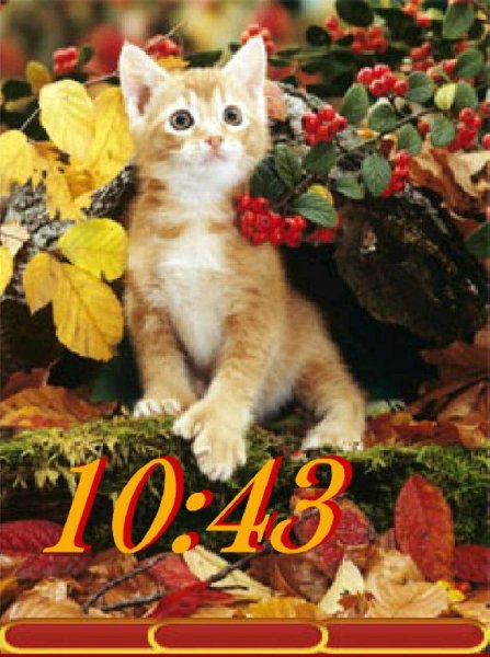 Котенок под рябиной