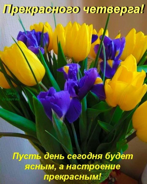 kUFbCfXo