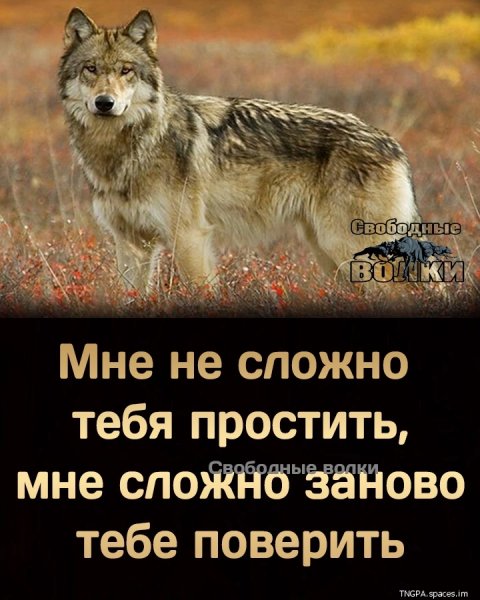 9Ri9Js5GzzWamy4