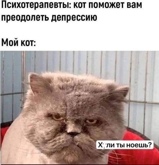 file_102243571