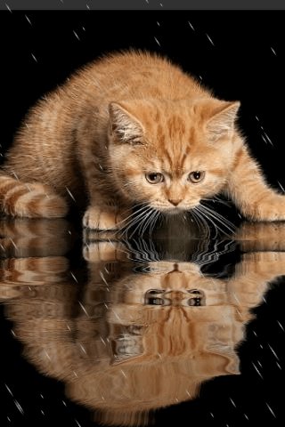 file_81757075