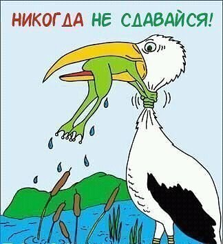 IMG 20250924 183814