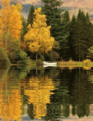 ЛЛО