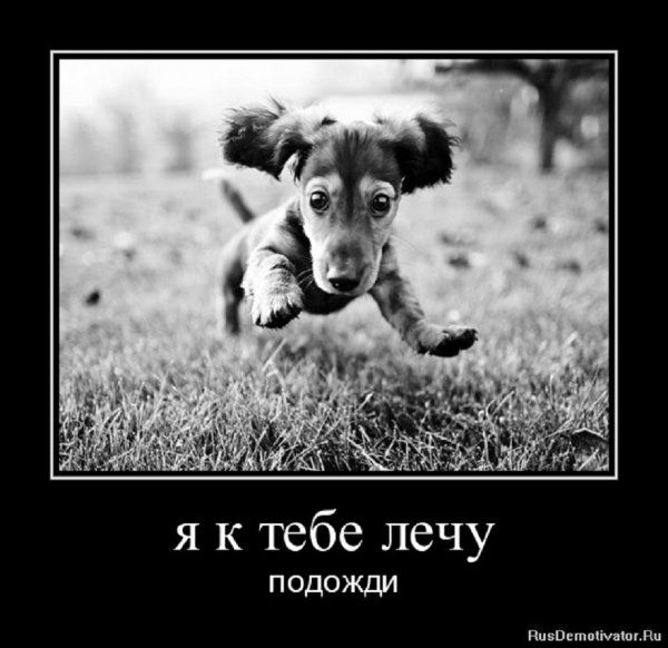 Подожди