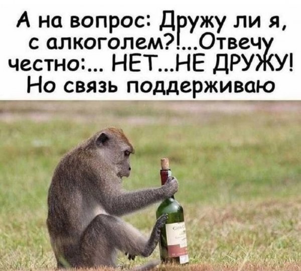 Вопрос