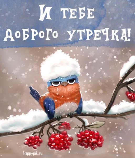 file_92118643