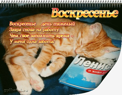 file_89783134