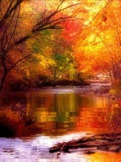Autumn river